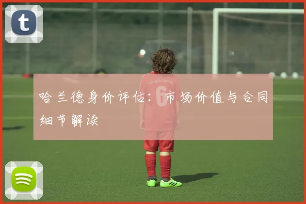哈兰德身价评估：市场价值与合同细节解读