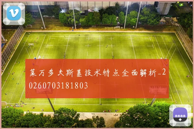 莱万多夫斯基技术特点全面解析_20260703181803